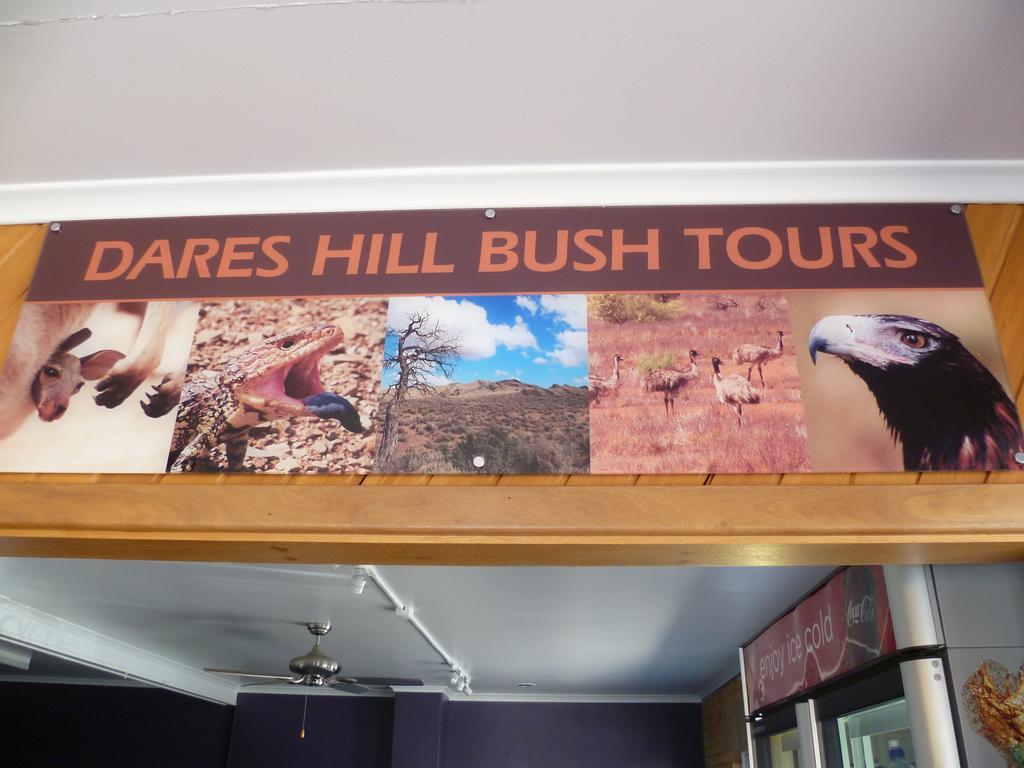 Norfolk Motor Inn Adelaide Bagian luar foto